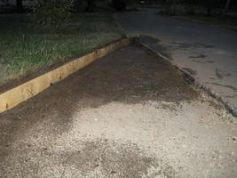 yard work 2010